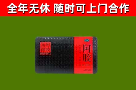 普陀回收阿胶